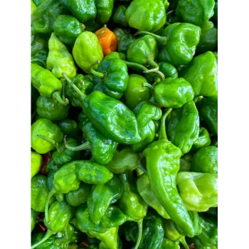 green chilli  (38)-5638288-37616.webp
